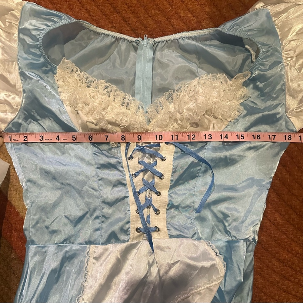 Alice in wonderland, Dorothy costume. MEDIUM(size tag is gone) SAME DAY SHIP!